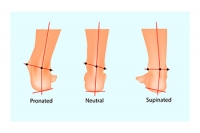 Pronation and Supination Affect Foot Health